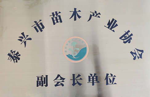 泰元公司被評為泰興市苗木產(chǎn)業(yè)協(xié)會(huì)副會(huì)長單位